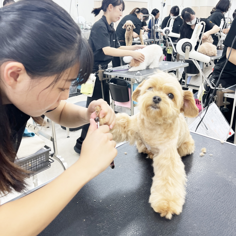 今日もたくさんのお客様！